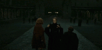 Piertotum Locomotor.gif
