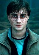 Picture 6 - Harry Potter and the Deathly Hallows (film)