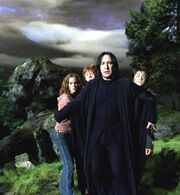 Severus Rogue trio