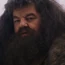 HP1RubeusHagrid