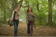 Hermione and Ginny