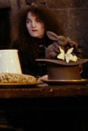 Unidentified female Hogwarts employee (IV).jpg