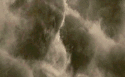 Death Eaters attacked London and kidnapped Ollivander