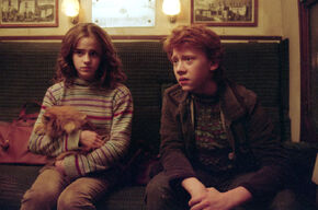 Hermione-and-ron-on-the-hogwarts-express-1050x0-c-default