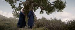 Newt showing Leta the Bowtruckles