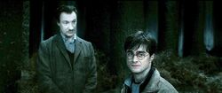 Harry-potter7-harry lupin