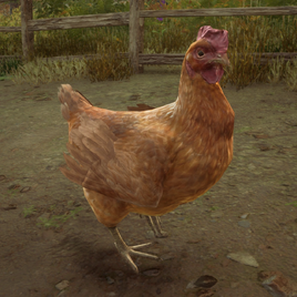 Hogwarts Legacy Chicken