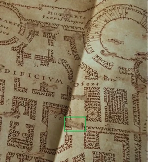 Newt na Mapie Huncwotw