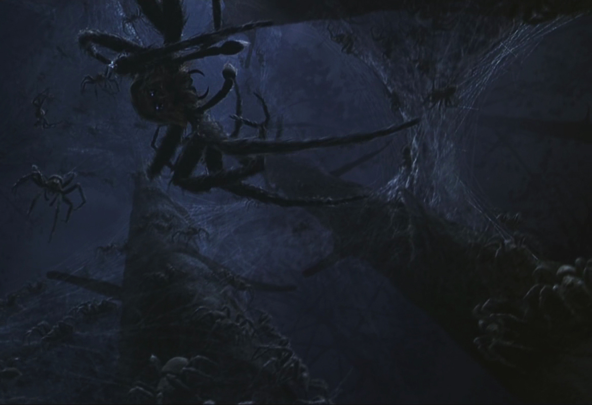 harry potter and the chamber of secrets spider