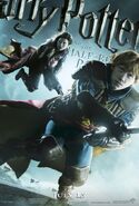 442px-04-17-09-Half-Blood Prince poster Ginny-Ron-Quidditch