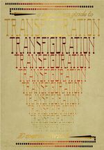 A Beginner's Guide to Transfiguration COG