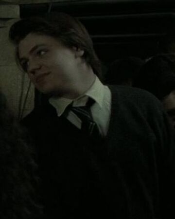 Unidentified Ravenclaw Member Of Dumbledore S Army Harry Potter Wiki Fandom