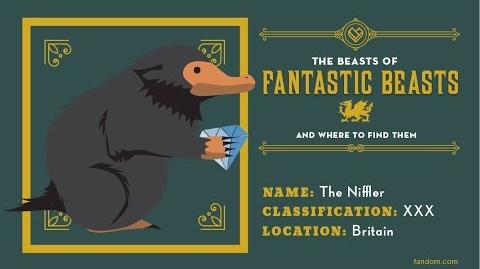 What is a Niffler? The Beasts Of Fantastic Beasts And Where To Find Them