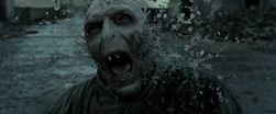 Bye bye voldermort