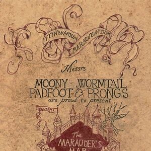 Malandrini Harry Potter Wiki Fandom