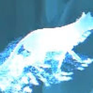 Pottermore Test Du Patronus Wiki Harry Potter Fandom