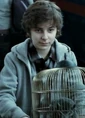 James II.jpg (63 KB) James Sirius Potter
