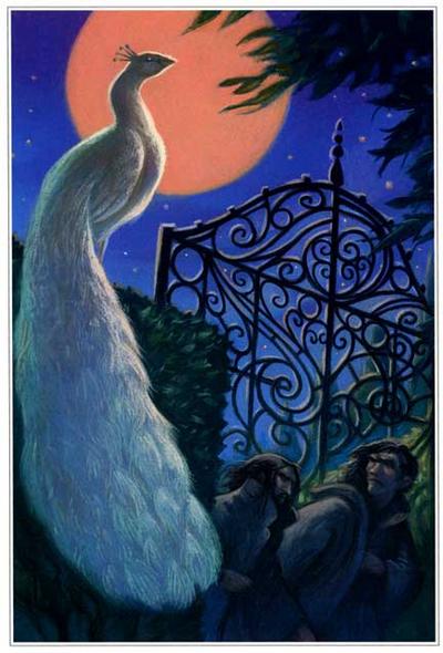 Peacock harry potter discount