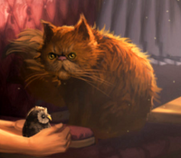 B3C22M2 Crookshanks PM