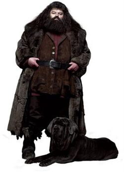 Rubeus Hagrid's pets, Harry Potter Wiki