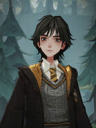 Huff boy player's recreation (to be placed on the infobox)