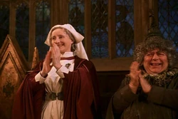  и , к которым студенты Хогвартса обращались, используя слово «мадам»