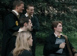 Cedric Diggory's friends