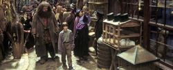 Diagon Alley-Hagrid and Harry