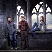 Trio Harry Potter Wiki Fandom