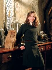 Hermione e Grattastinchi