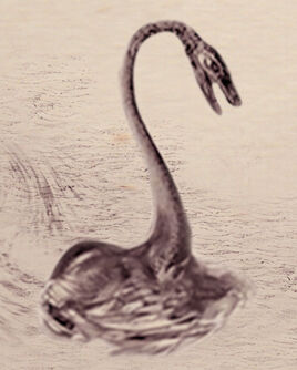 Kelpy du Loch Ness