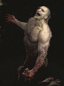 Wilkolakgreyback.jpg