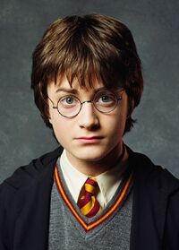 COS promo Harry Potter Hogwarts uniform cropped