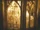 Halfblood-01136.jpg