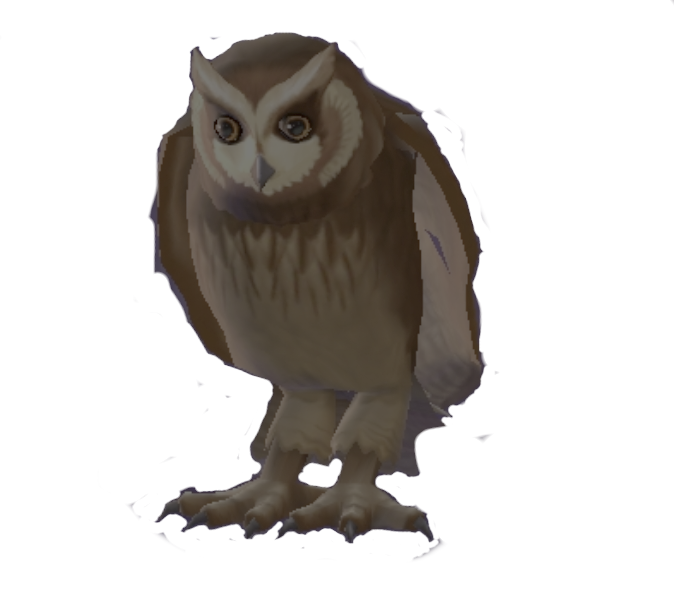 Owls, Pottermore Wiki