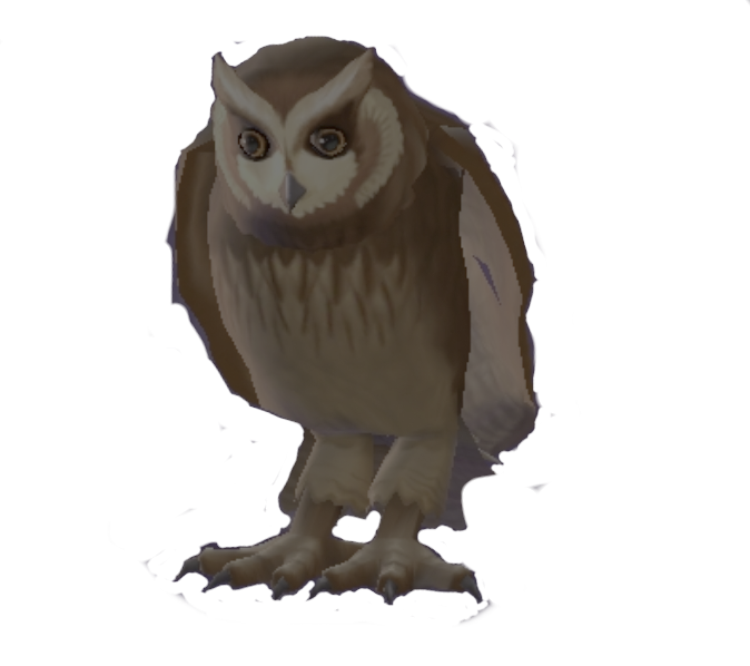 harry potter pet owl