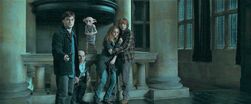 07 Dobby rescuing Harry Potter, Griphook, Hermione and Ron