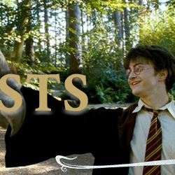 Usuario Blog:Kitty Weasley/Escobas de Vuelo Nimbus, Harry Potter Wiki