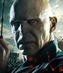 DH2 IAE Voldemort.jpg