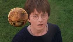 Heli ball cheap harry potter