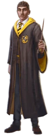 HufflepuffStudentWU