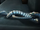 Salazar Slytherin's keys