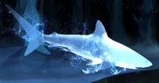 Shark Patronus.png (520 KB) Shark