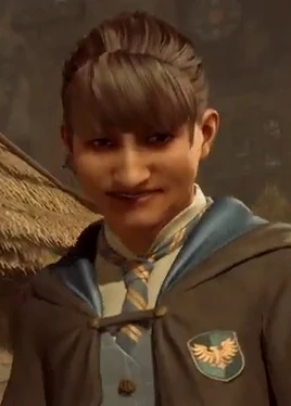 Unidentified Ravenclaw bully HL