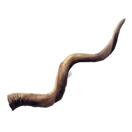 Horn des Zweihorns