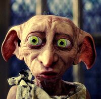 Dobby, LEGO Harry Potter Years 1-7 Wiki