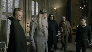 Dumbledore w skrzydle.jpg