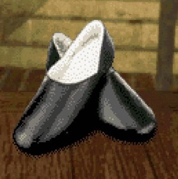 Metamorphose d un escarpin en lapin Wiki Harry Potter Fandom