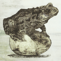Toad sitting atop a Basilisk egg