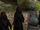 Voldemort, Death Eaters and Snatchers DHG2 NDS.png